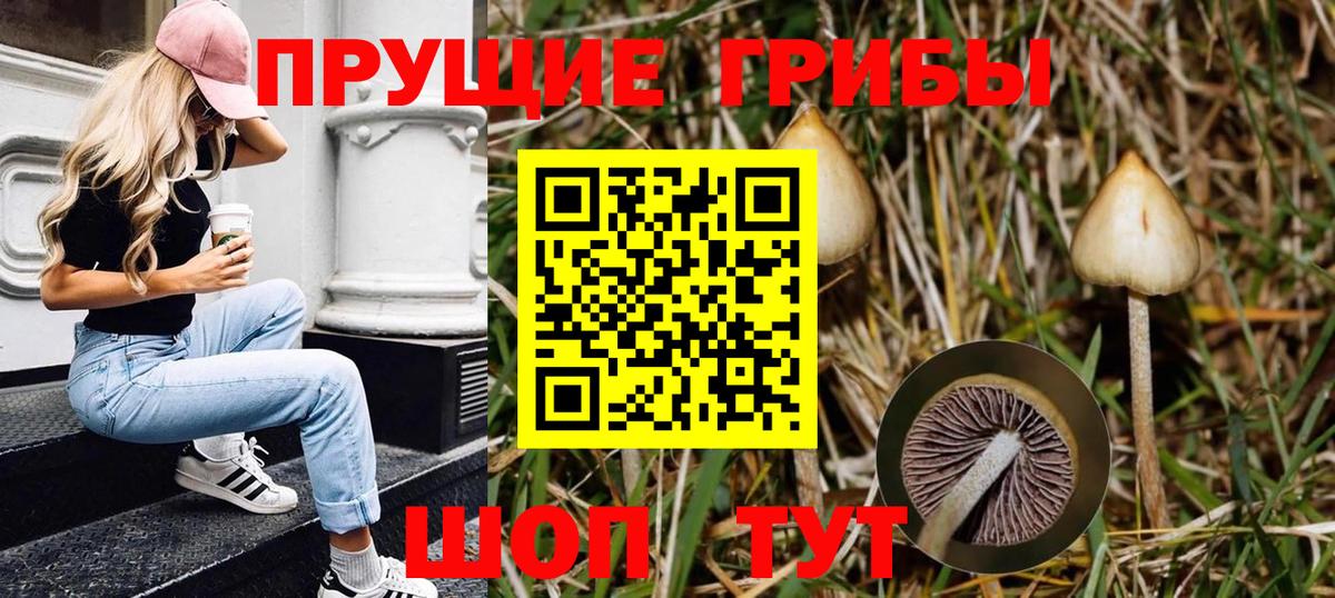 даркнет сайт  Галлюциногенные грибы Psilocybe  Вход с VPN  Курганинск 