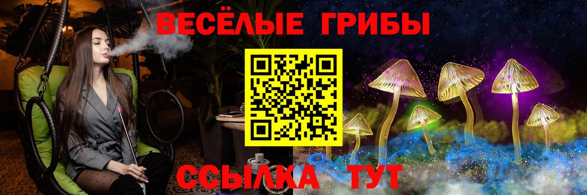 Псилоцибиновые грибы GOLDEN TEACHER Курганинск